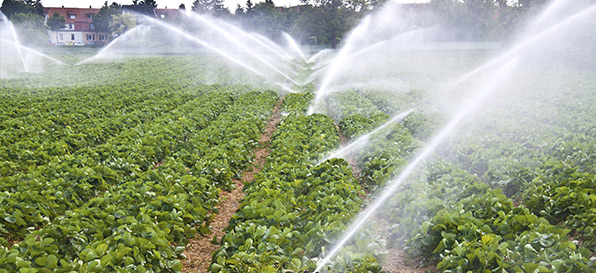 Il mondo dell'acqua e dell'irrigazione a portata di click