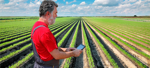 AgroInnovAzione - L'innovazione scende in campo: un filo diretto tra ricercatori e agricoltori