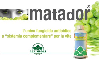 Immagine di copertina di Agronotizie