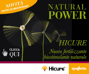 HICURE - Il nuovo fertilizzante biostimolante naturale sicuro in ogni aspetto