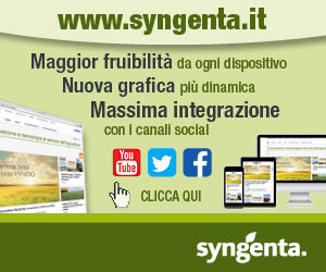Il nuovo sito web Syngenta è online. Scopri di più!