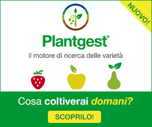 Il nuovo Plantgest è online: scoprilo ora