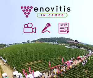 Enovitis in campo: video, news, reportage