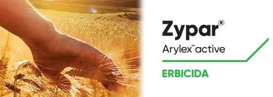 Zypar: più efficace, più veloce, più versatile, più sicuro