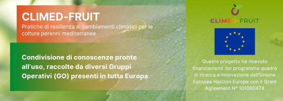 CLIMED-FRUIT: video, ricerche, reportage, best practice