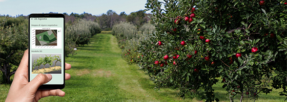 iAgro: colture arboree sotto controllo digitale