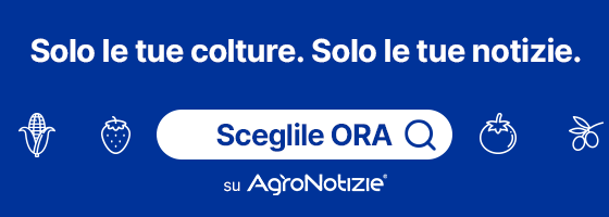 Solo le tue colture. Solo le tue notizie.