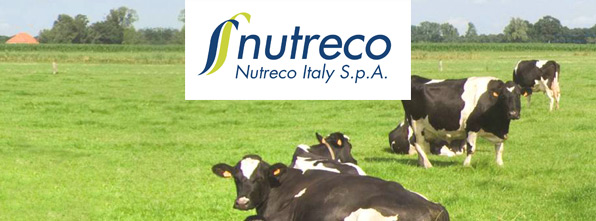 Nutreco Italy, soluzioni nutrizionali per animali sani e forti