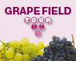 Grape Field Tour - notizie su Syngenta in campo 2014