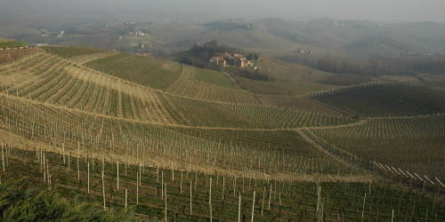 Panorama delle Langhe