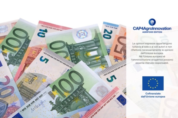 Psr Puglia, bando da 14 milioni di euro per il primo insediamento dei ...