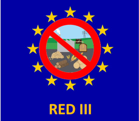 Arriva la Red III - Bioenergie - AgroNotizie