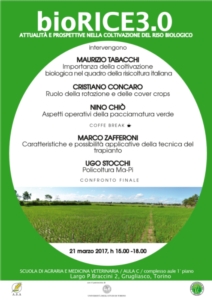 BioRice3.0: attualità e prospettive nella coltivazione del riso ...