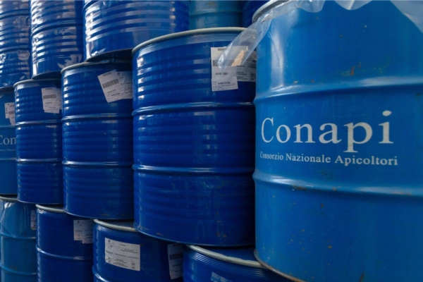Conapi, dove e come va la più grande cooperativa italiana di apicoltori ...