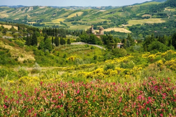 EVENTO - Dissesto idrogeologico e agricoltura - Economia e politica ...