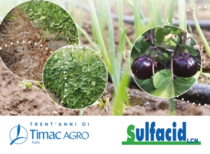 Sulfacid: come valorizzare il patrimonio del suolo - Fertilizzazione ...