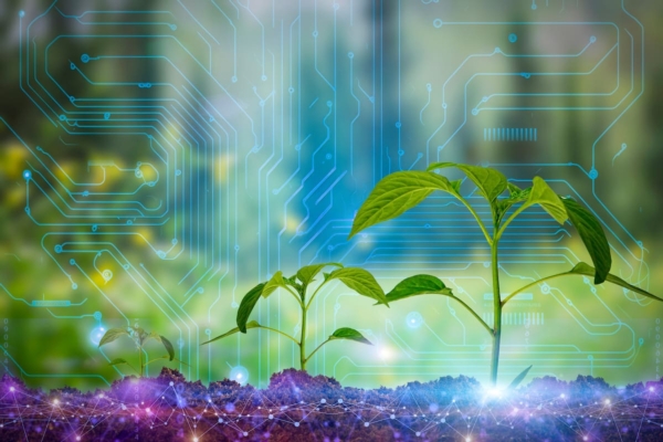 Digitale, innovazione e tecnologia: il Masaf al passo con i tempi ...