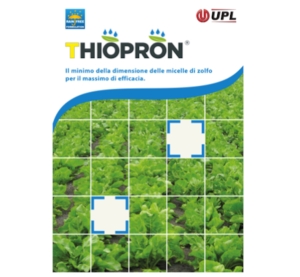 Thiopron®: massima efficacia su barbabietola da zucchero - Difesa e ...