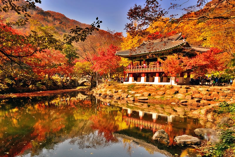 06-naejangsan-national-park-south-korea.jpg