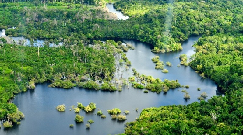 amazon-rainforest.jpg