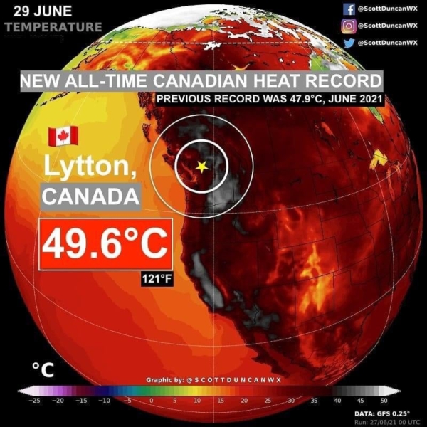 caldo-intenso-canada-giugno-2021.jpg