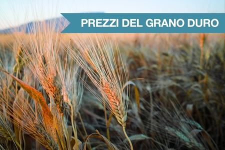 Prezzi del grano duro