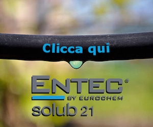 ENTEC solub 21 di EuroChem, la rivoluzione idrosolubile