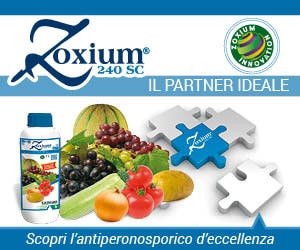 ZOXIUM 240 SC - Lo specialista del grappolo