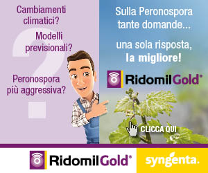 RIDOMIL GOLD®, il miglior fungicida sistemico per le fasi delicate della vite. Da sempre