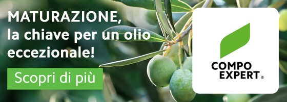 AgroNotizie n 924 - Settembre 2024