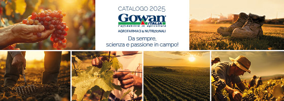 AgroNotizie n 939 - Gennaio 2025