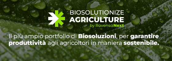 AgroNotizie n 989 - Gennaio 2026