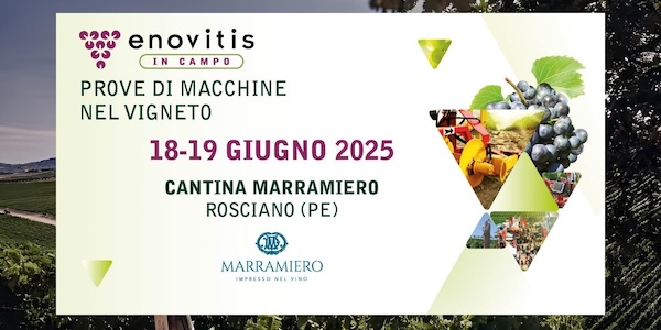 Enovitis in Campo 2025