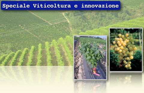 Viticoltura e innovazione