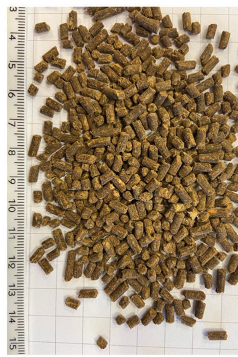 superoro-pellet-concime-cereali.redazionale-settembre-2023-fonte-agribios.jpg