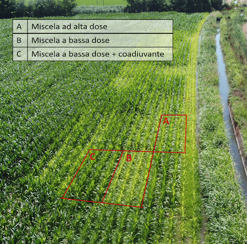 Solfato di Rame in Cristalli - Agribios 5 Kg