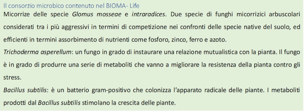 bioma-life-fonte-agricola-internazionale.jpg