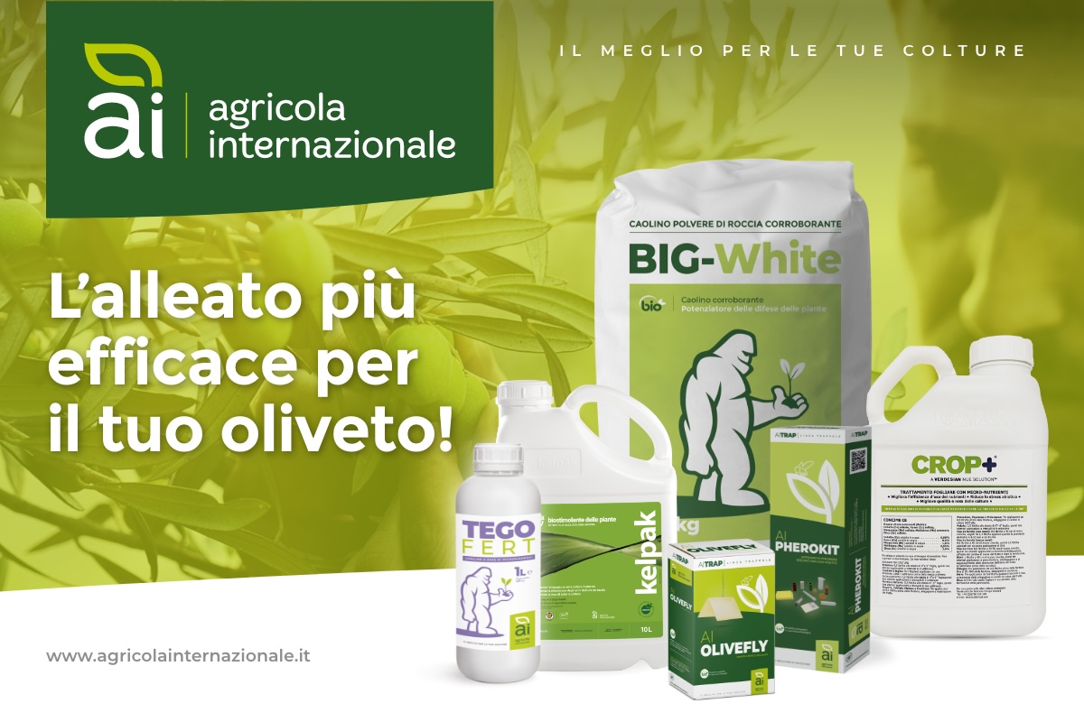 alleato-efficace-oliveto-big-white-crop_-kelpak-olivefly-pherokit-tegofert-fonte-agricola-internazionale-1200x800.jpg