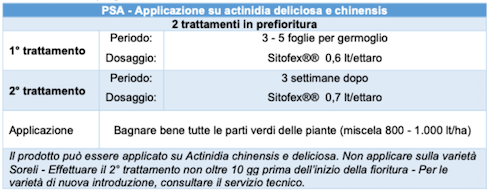 Applicazione di Sitofex su actinidia