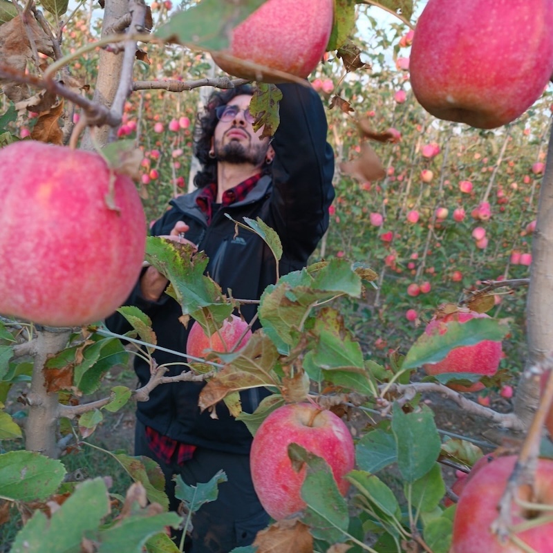 michele-gullino-agrifood-future-award-agraria-800x800.jpg