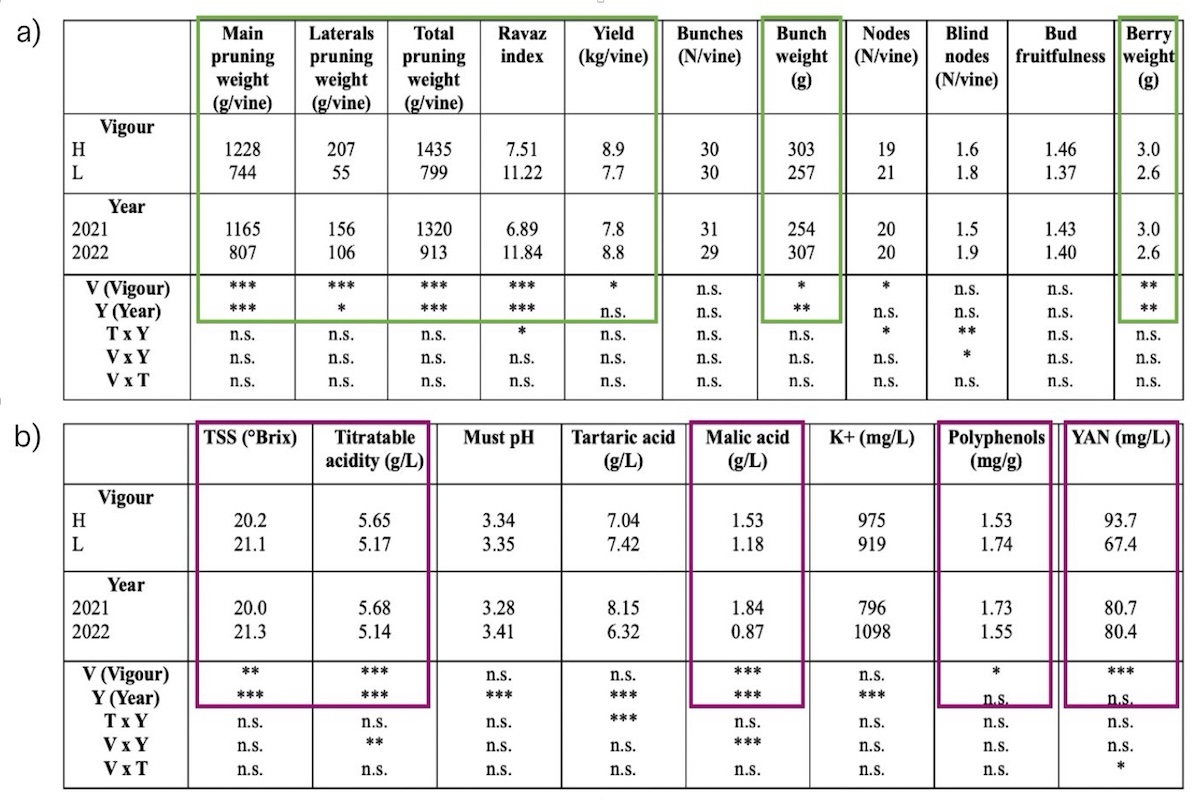 Parametri vegeto produttivi e composizione dell'uva di Malvasia di Candia aromatica in relazione alle classi di vigore (alto e basso), al tipo di trattamento (meccanica e selettiva) e all'anno (2021 e 2022)