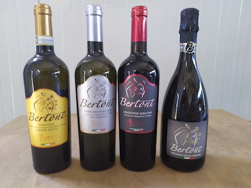 Alcune bottiglie di vino dell'azienda agricola Bertoni Gian Paolo