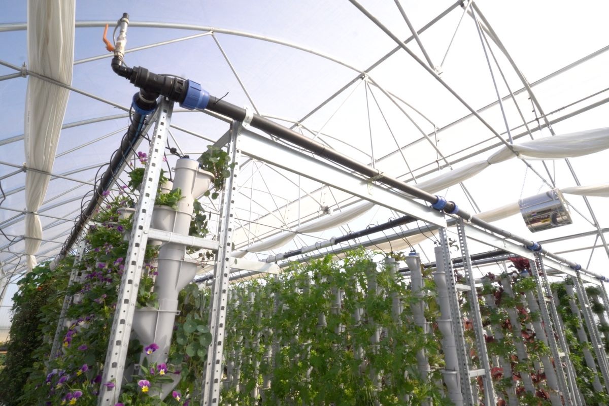 Matteo Babini ha realizzato delle pareti verticali alte 2,40 metri, con tredici slot sfalsati per colonna