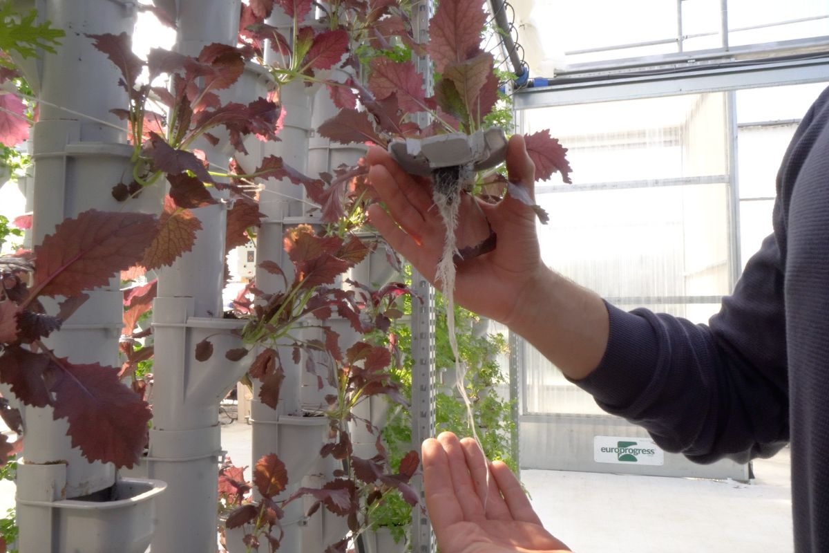 Tirando le prime somme il bilancio oggi è positivo, ma Matteo Babini ha già tante altre idee in cantiere