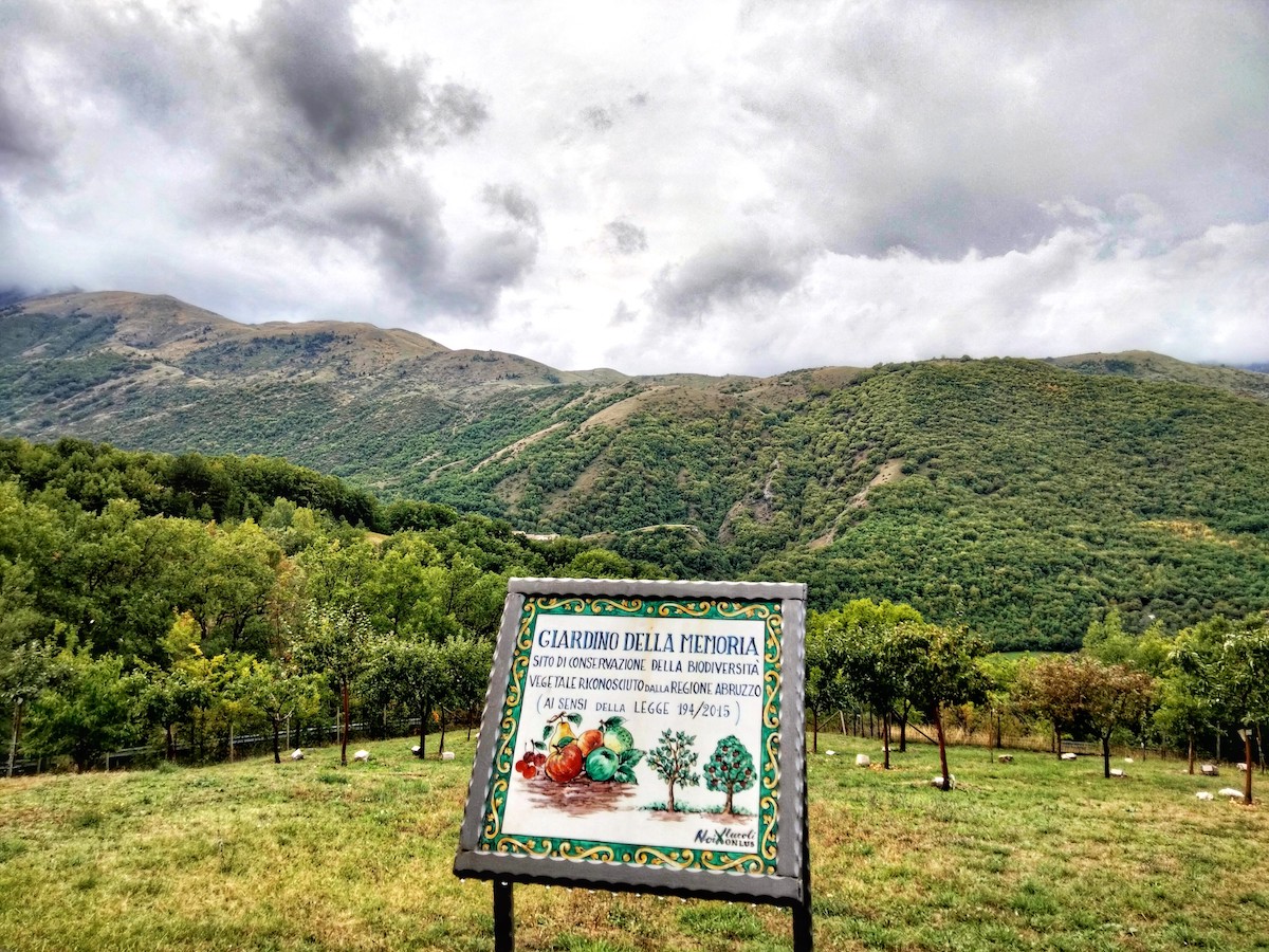 Il Giardino della Memoria è un sito di conservazione della biodiversità vegetale riconosciuto dalla Regione Abruzzo