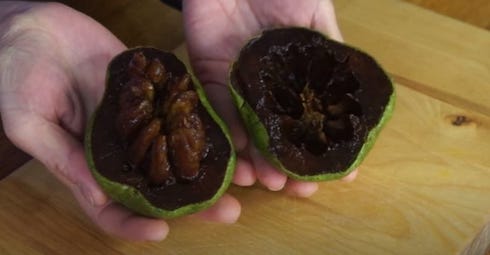 Il frutto esotico all'interno è nero e ricorda il gusto del cioccolato