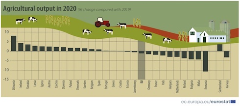 Grafico: Produzione agricola