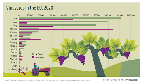 Grafico: Viticoltura in Ue nel 2020
