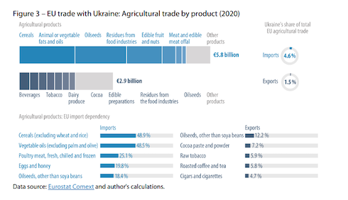 Mercato Ue-Ucraina