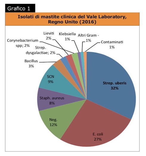 Grafico 2: isolati di mastite clinica del Vale Laboratory, Regno Unito (2016)